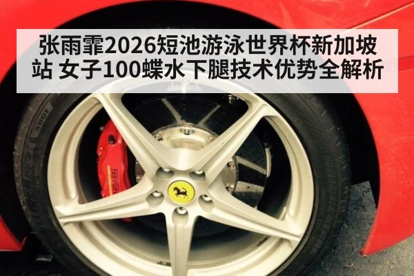 张雨霏2026短池游泳世界杯新加坡站 女子100蝶水下腿技术优势全解析