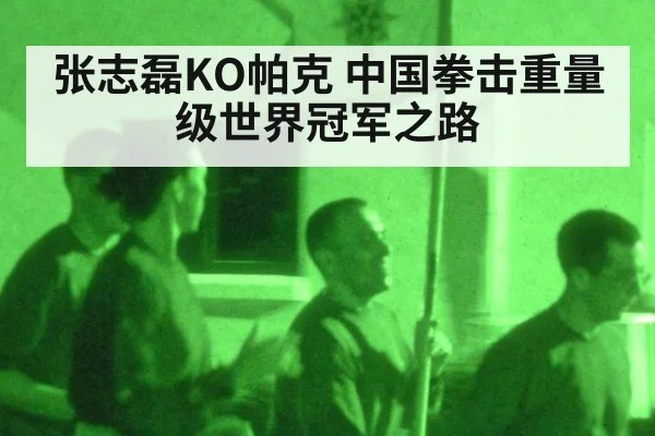 张志磊KO帕克 中国拳击重量级世界冠军之路